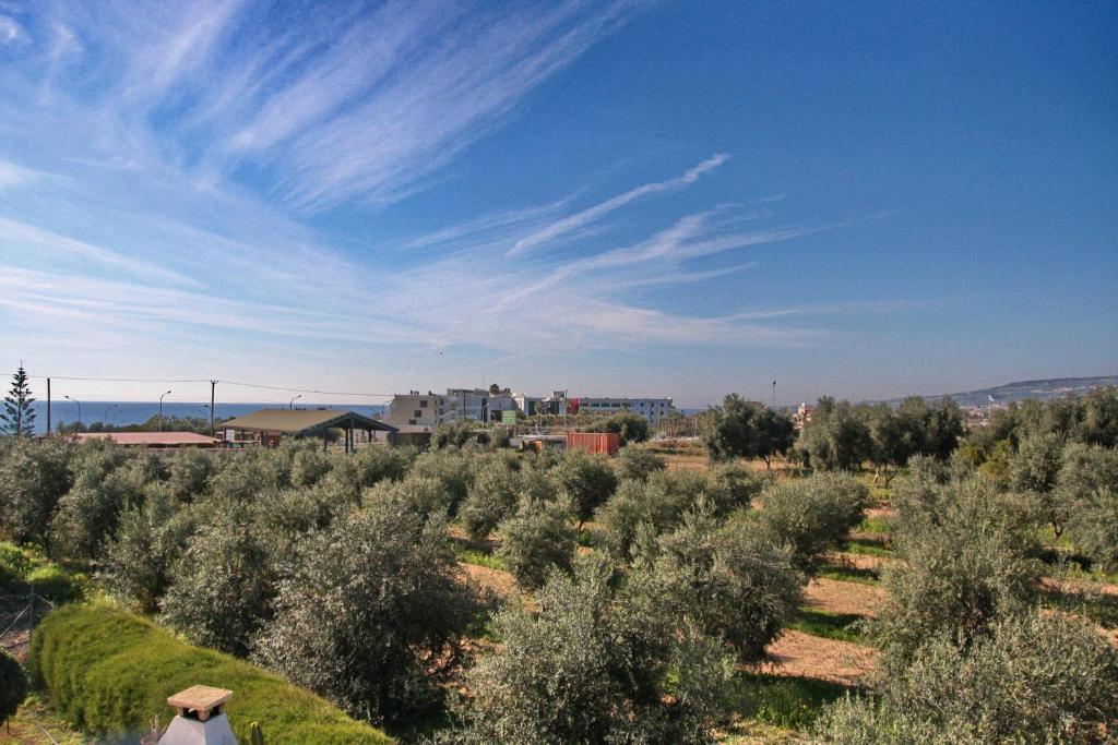 Villa Paradise Paphos Ngoại thất bức ảnh